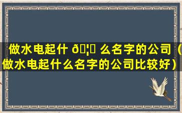 做水电起什 🦈 么名字的公司（做水电起什么名字的公司比较好）